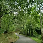 La Casina De Castiello Vakantiehuis Onís