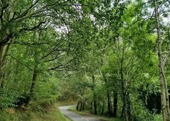 La Casina De Castiello Holiday home Cangas de Onis